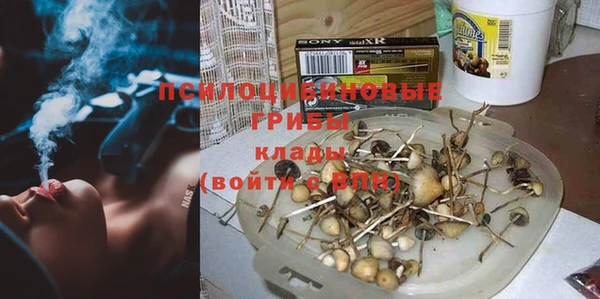 винт Аркадак